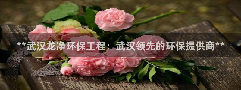 彩名堂最新计划app下载：**武汉龙
