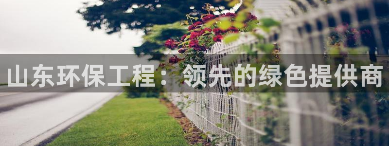 彩名堂拼音怎么拼：山东环保工程：领先