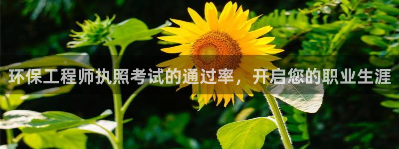彩名堂一直不出结果怎么回事呢：环保工