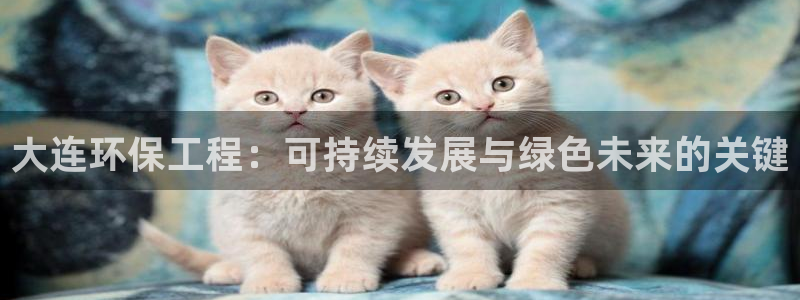 彩名堂预测计划软件：大连环保工程：可