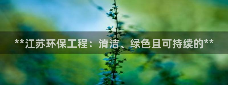 彩名堂app官方网：**江苏环保工程