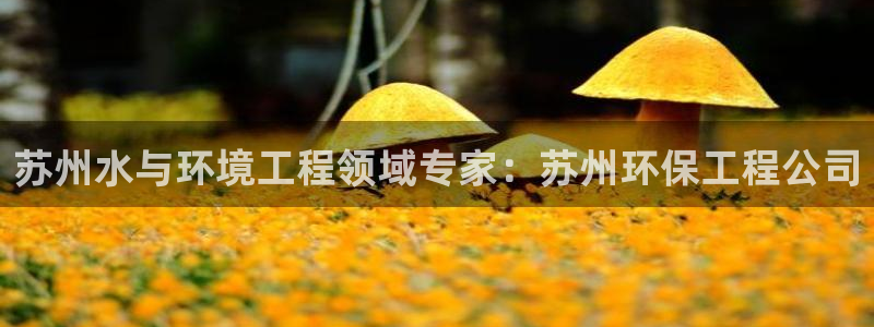 彩名堂计划怎么跟不挂：苏州水与环境工