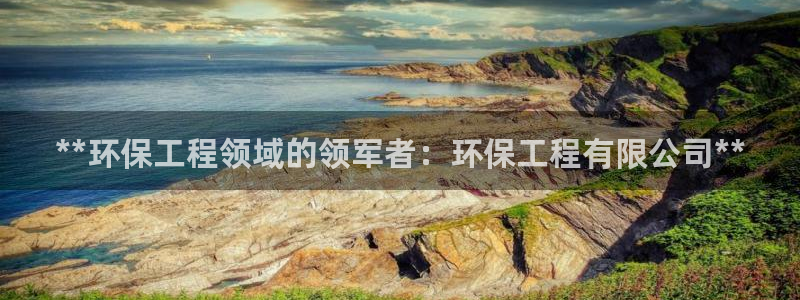 彩名堂01计划：**环保工程领域的领