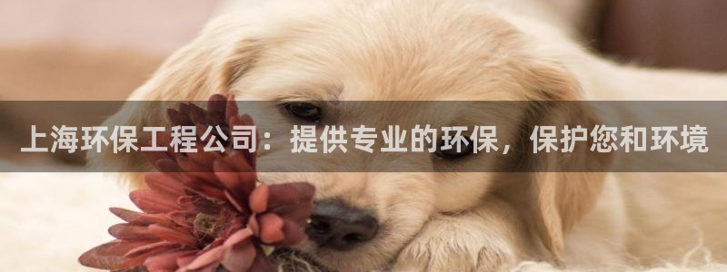 彩名堂app2.05版本：上海环保工