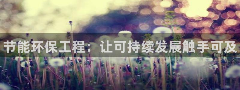 彩名堂拼音怎么拼：节能环保工程：让可