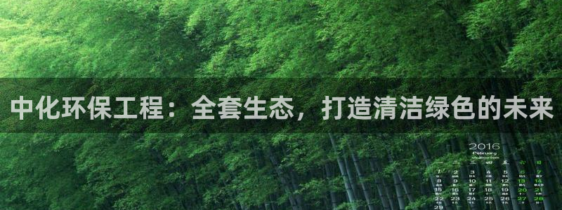 彩名堂移动客户端：中化环保工程：全套