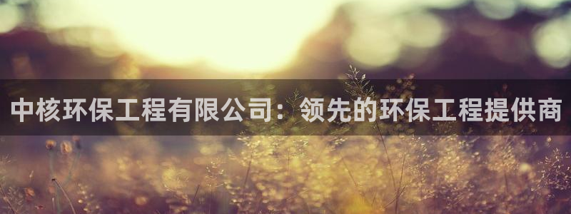 彩名堂加拿大怎么买准确率高：中核环保
