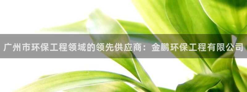 彩名堂免费计划使用方法：广州市环保工