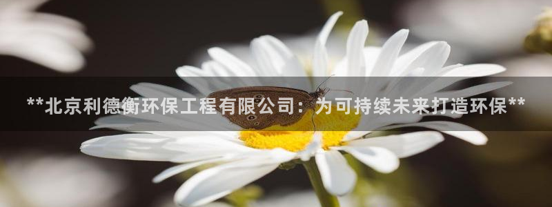 彩名堂官方软件下载：**北京利德衡环