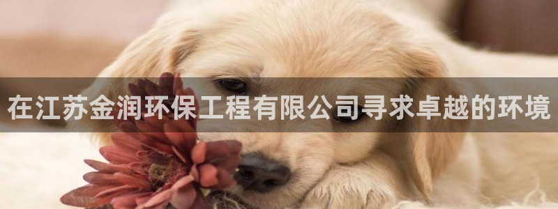 下载彩名堂预测计划软件：在江苏金润环保工程有限公司寻求卓越的环境