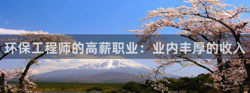 彩名堂怎么不能用了：环保工程师的高薪职业：业内丰厚的收入