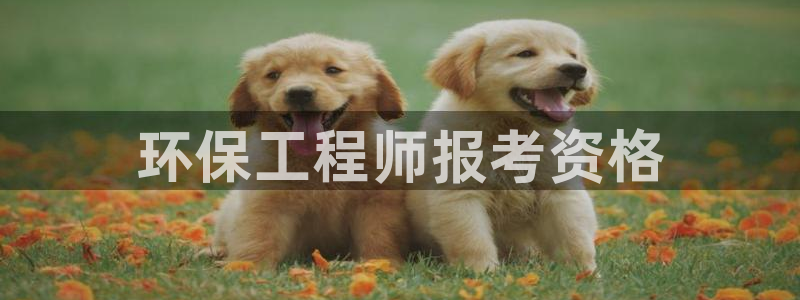 彩名堂怎么打不开了：环保工程师报考资