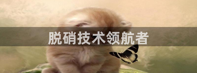 彩名堂官网在线计划怎么不更新了：脱硝