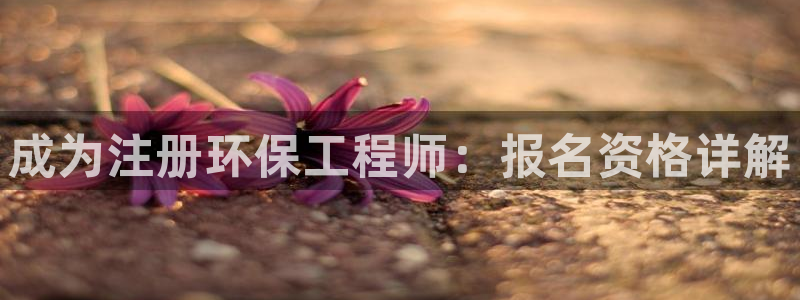 彩名堂人工计划怎么找不到下载了?：成