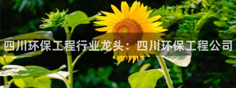 彩名堂app官方下载：四川环保工程行