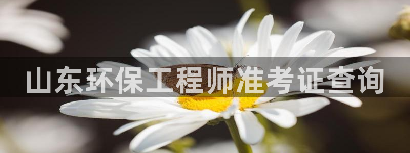 彩名堂预测软件与分析：山东环保工程师