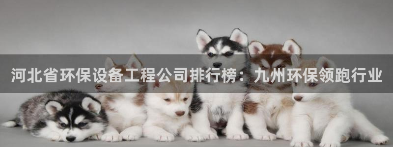 彩名堂移动客户端是什么：河北省环保设