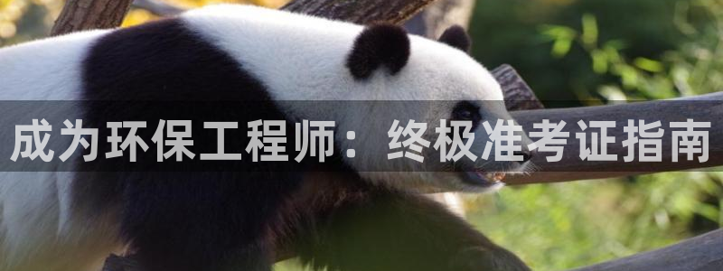 彩名堂是正规的公司吗：成为环保工程师