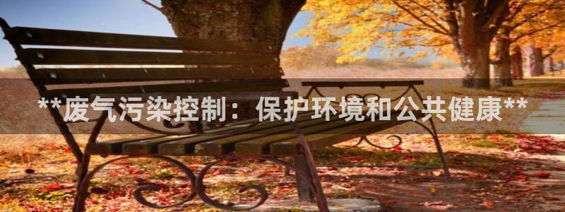 彩名堂还可以用吗：**废气污染控制：