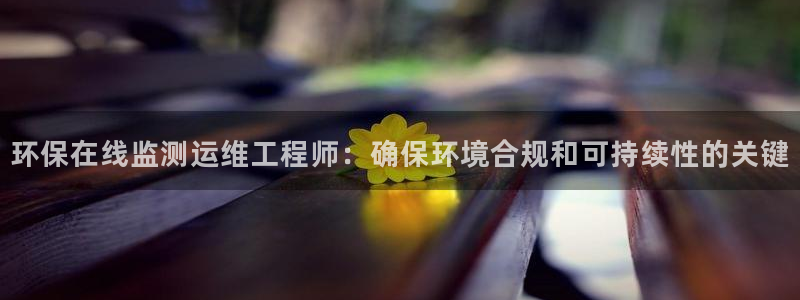 cmt彩名堂：环保在线监测运维工程师