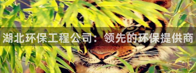 彩名堂官网：湖北环保工程公司：领先的
