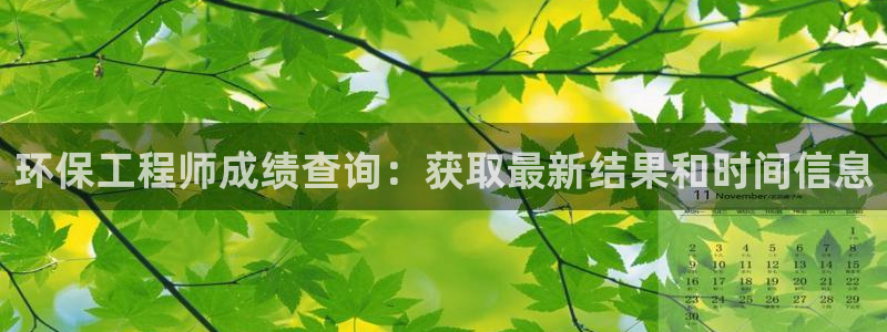 彩名堂排三：环保工程师成绩查询：获取最新结果和时间信息