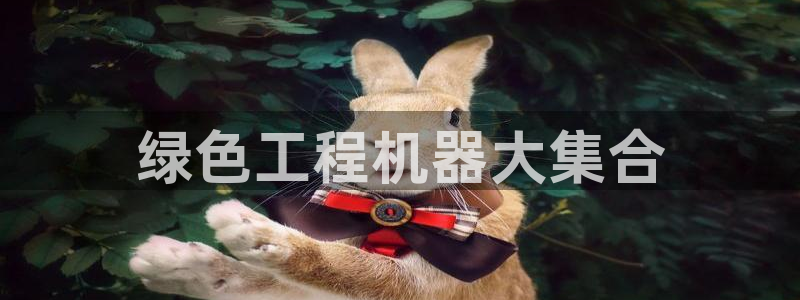彩名堂01计划：绿色工程机器大集合