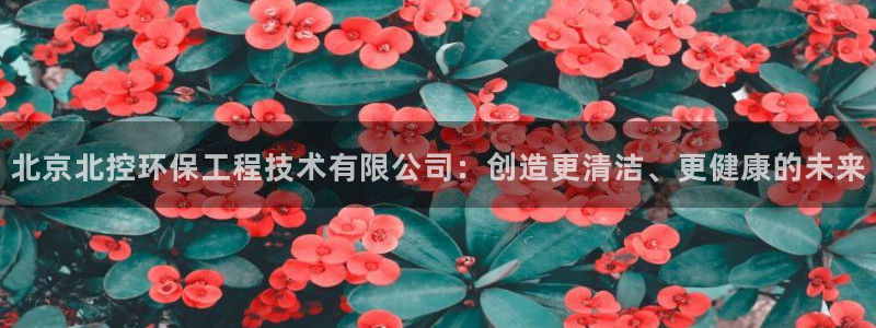 彩名堂怎么不能用了：北京北控环保工程