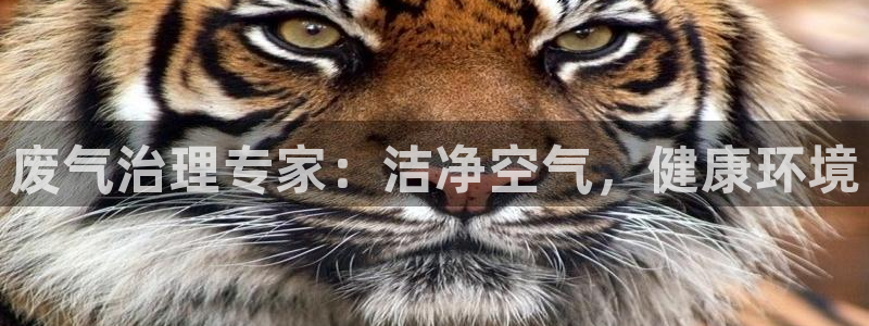 彩名堂客户端是永久免费吗是真的吗吗：废气治理专家：洁净空气，健康环境