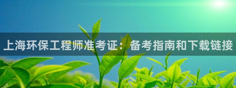 彩名堂预测软件与分析：上海环保工程师准考证：备考指南和下载链接
