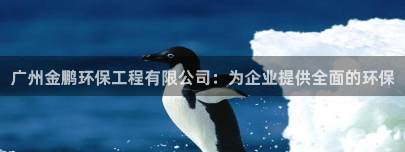 彩名堂免费计划下载：广州金鹏环保工程