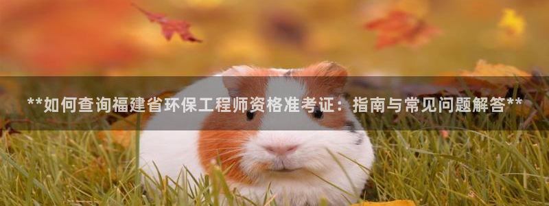 彩名堂是不是不能用了吗：**如何查询
