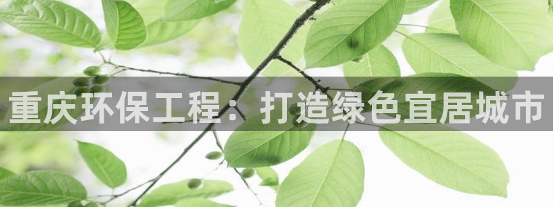 彩名堂计划app安卓免费下载：重庆环