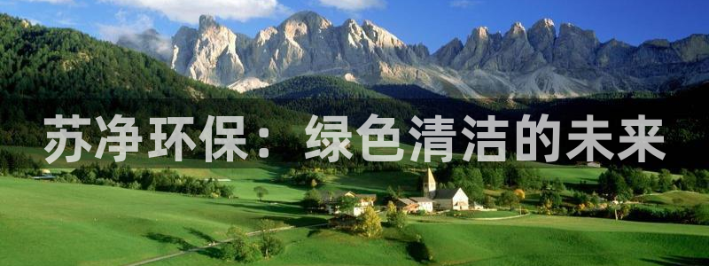 彩名堂加拿大怎么买准确率高：苏净环保