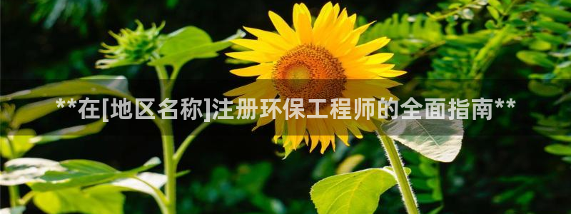 彩名堂一直不出结果怎么回事儿：**在