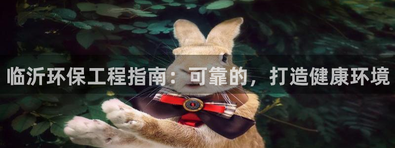彩名堂50版本计划：临沂环保工程指南
