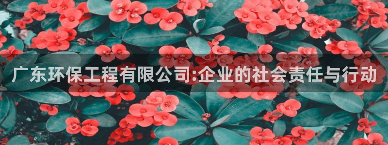 彩名堂客户：广东环保工程有限公司:企