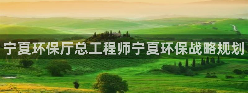 彩名堂是什么：宁夏环保厅总工程师宁夏