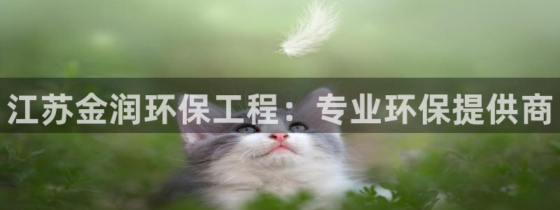 彩名堂预测软件与分析：江苏金润环保工