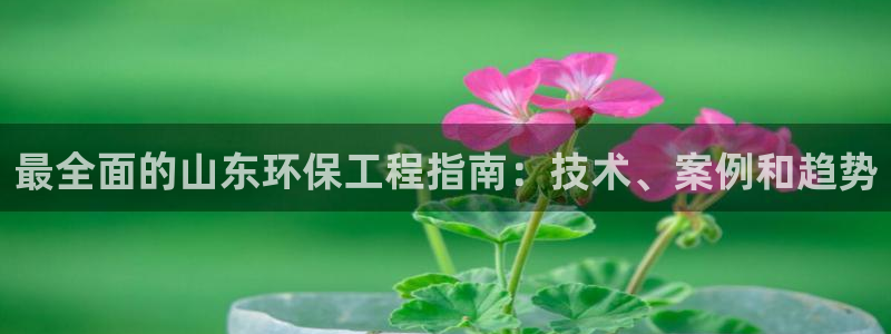 下载彩名堂预测计划软件安全吗：最全面的山东环保工程指南：技术、案例和趋势