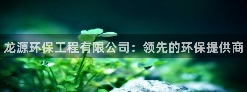 彩名堂移动客户端是什么：龙源环保工程