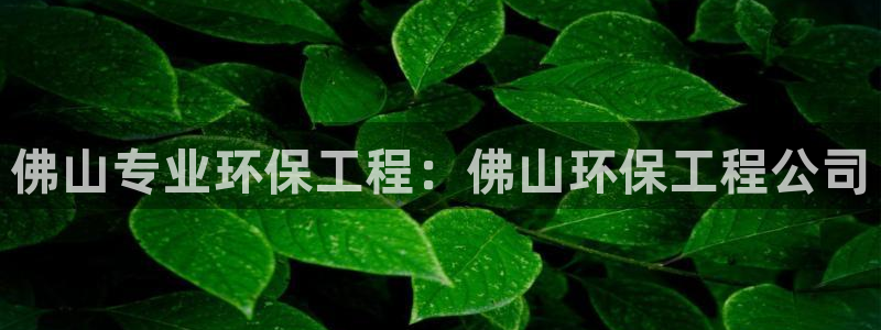 彩名堂官方平台：佛山专业环保工程：佛