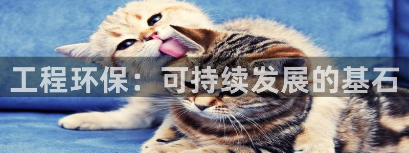 下载彩名堂预测计划软件安装：工程环保：可持续发展的基石
