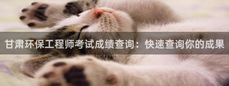 彩名堂计划软件下载：甘肃环保工程师考