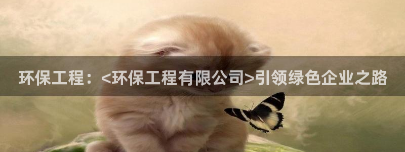 彩名堂怎么跟计划才不连挂：环保工程：