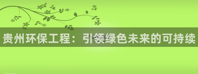 彩名堂怎么用不了了：贵州环保工程：引
