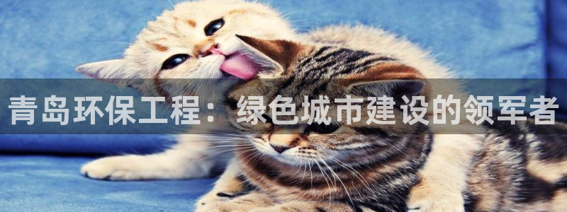 彩名堂预测计划：青岛环保工程：绿色城