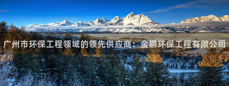 cmt彩名堂：广州市环保工程领域的领