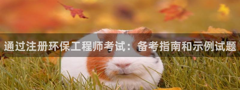 彩名堂5.0计划永久免费版为什么下不