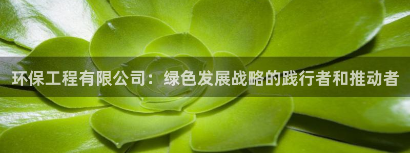 彩名堂怎么打最稳：环保工程有限公司：